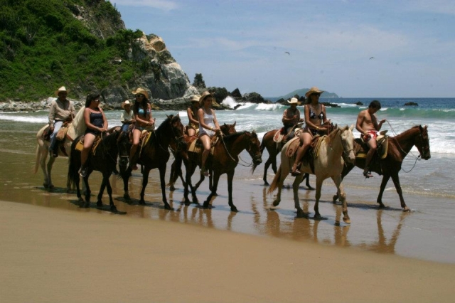  Passeggiate sulla spiaggia 